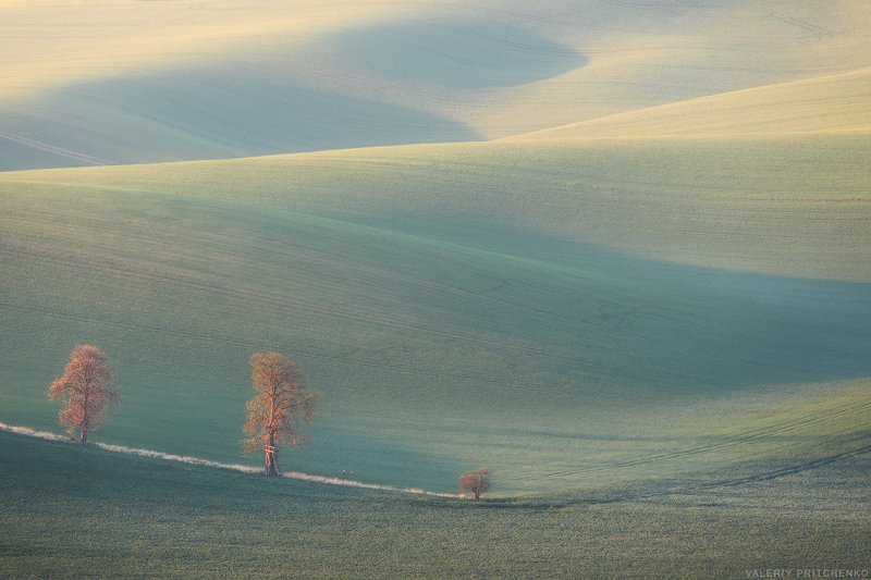 Утро в Южной Моравии с легким налетом инея на полях. фото превью