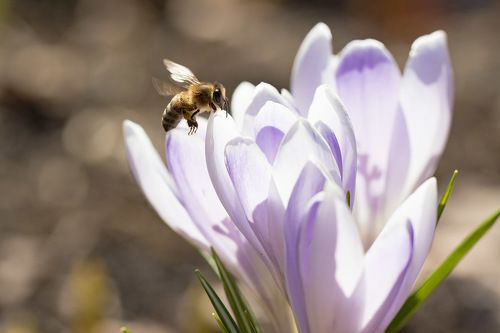 За сладеньким