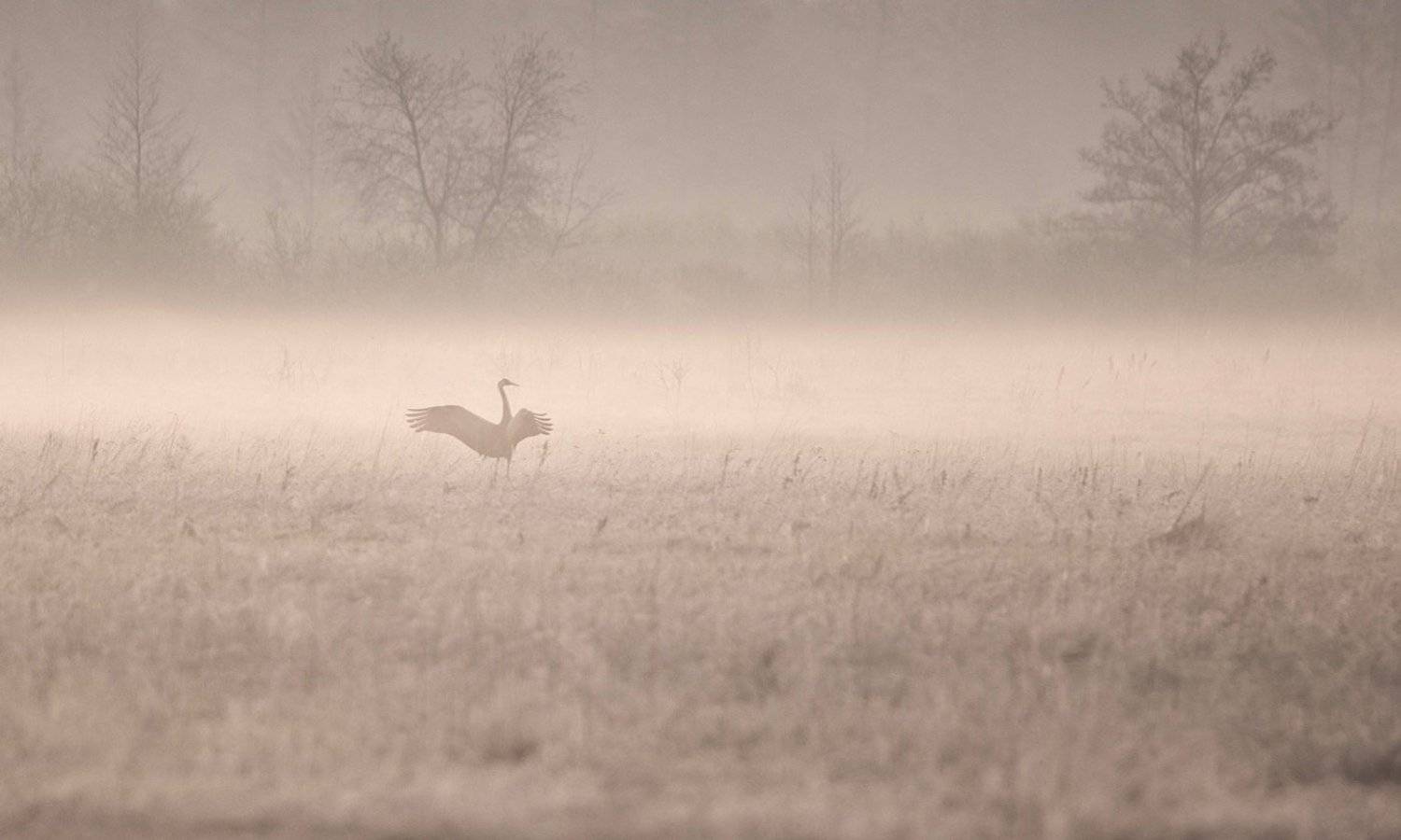 , Мазурин Евгений