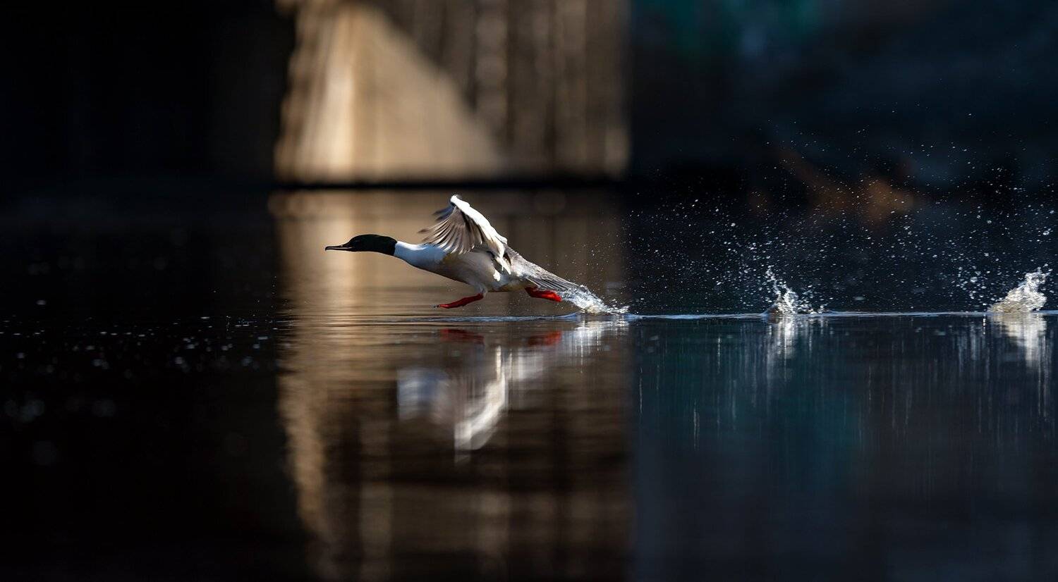 , Михаил Калинин