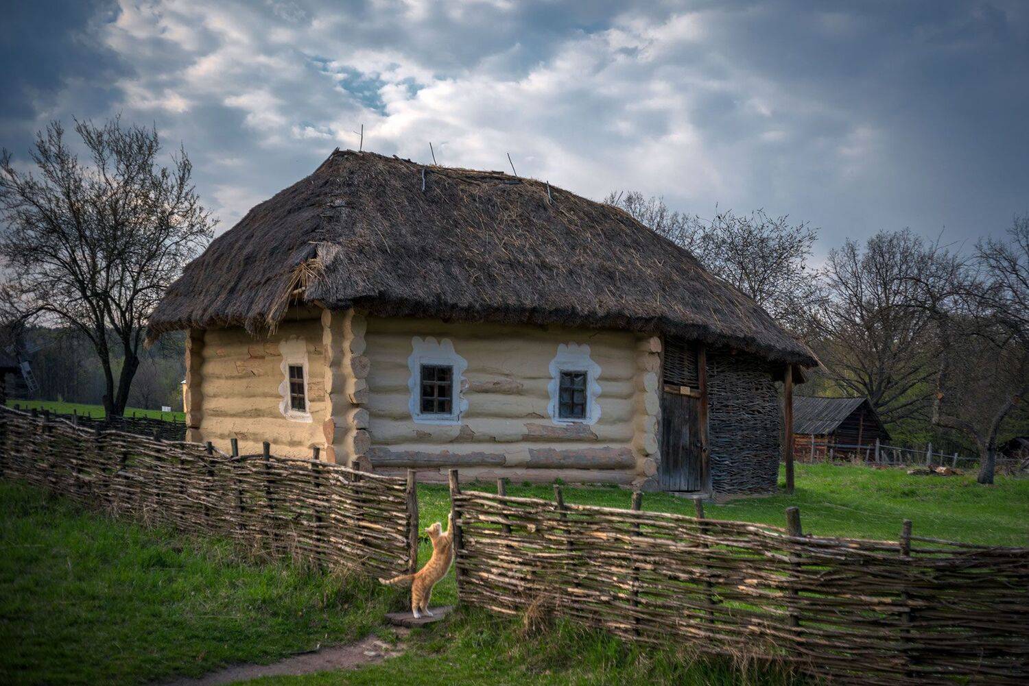 , Юрий Юрьев