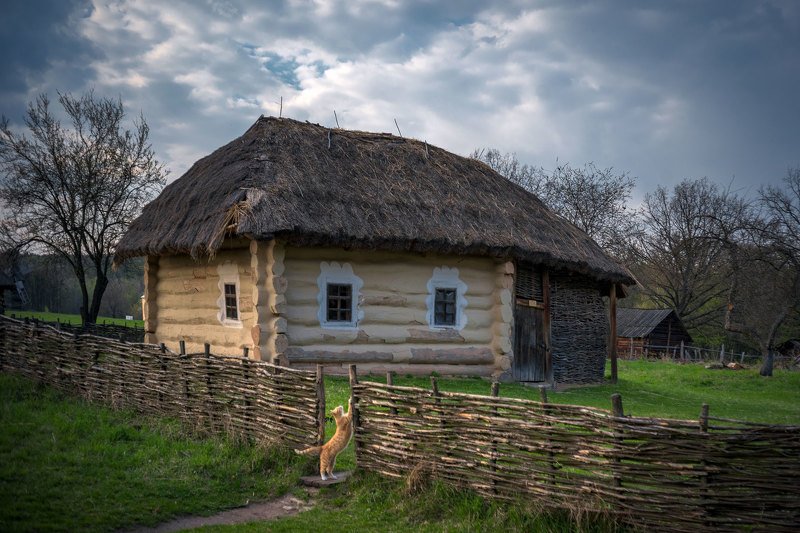 фото превью