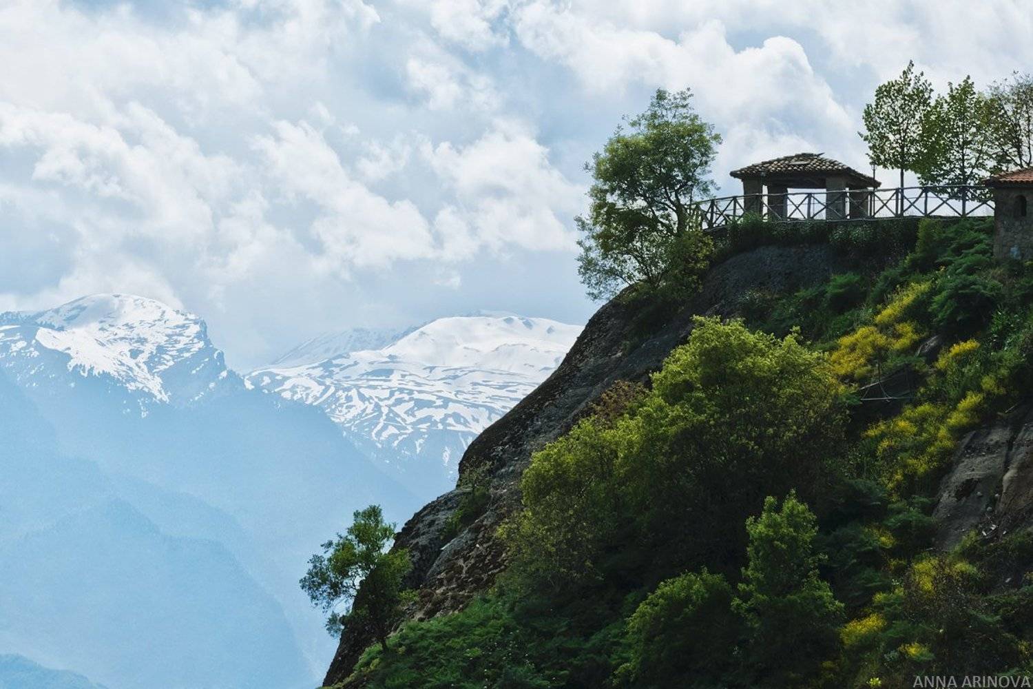 , Анна Аринова