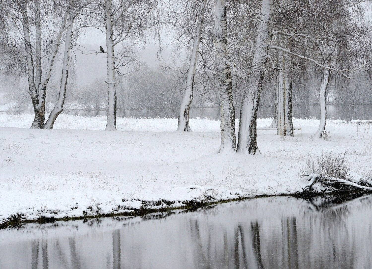 , Михаил Белоусов