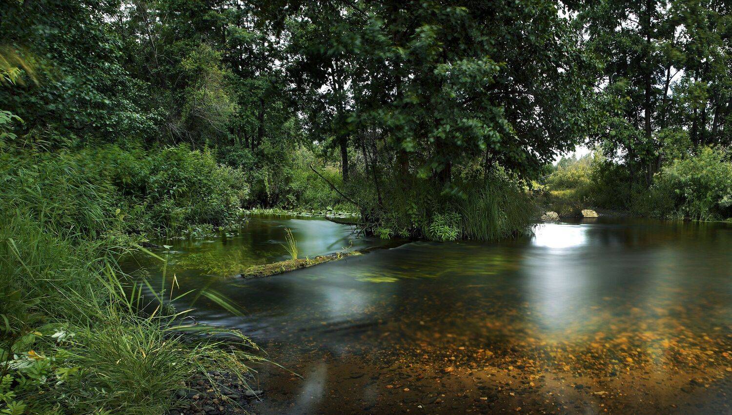, Бусыгин Борис