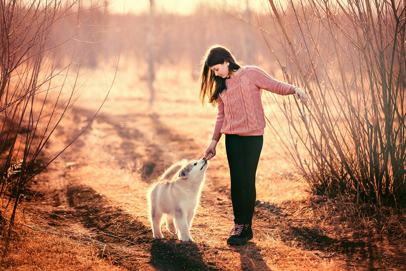 фото превью