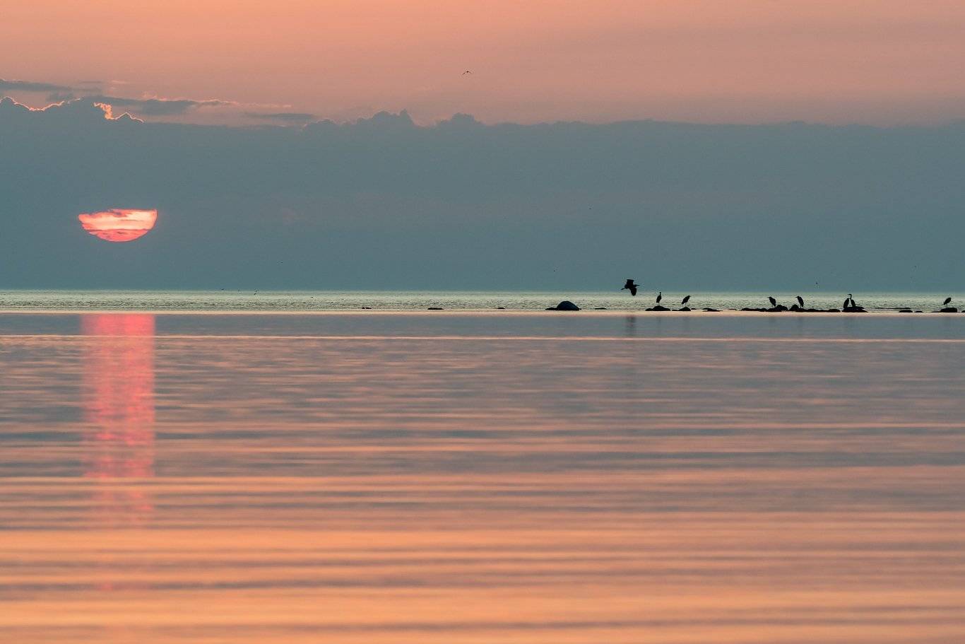 , Александр Абросимов