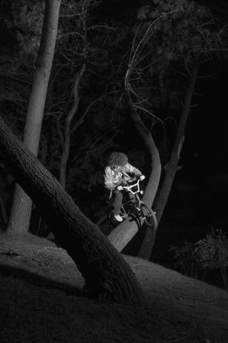 bmx