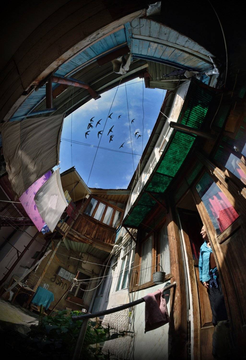 , Турков Евгений