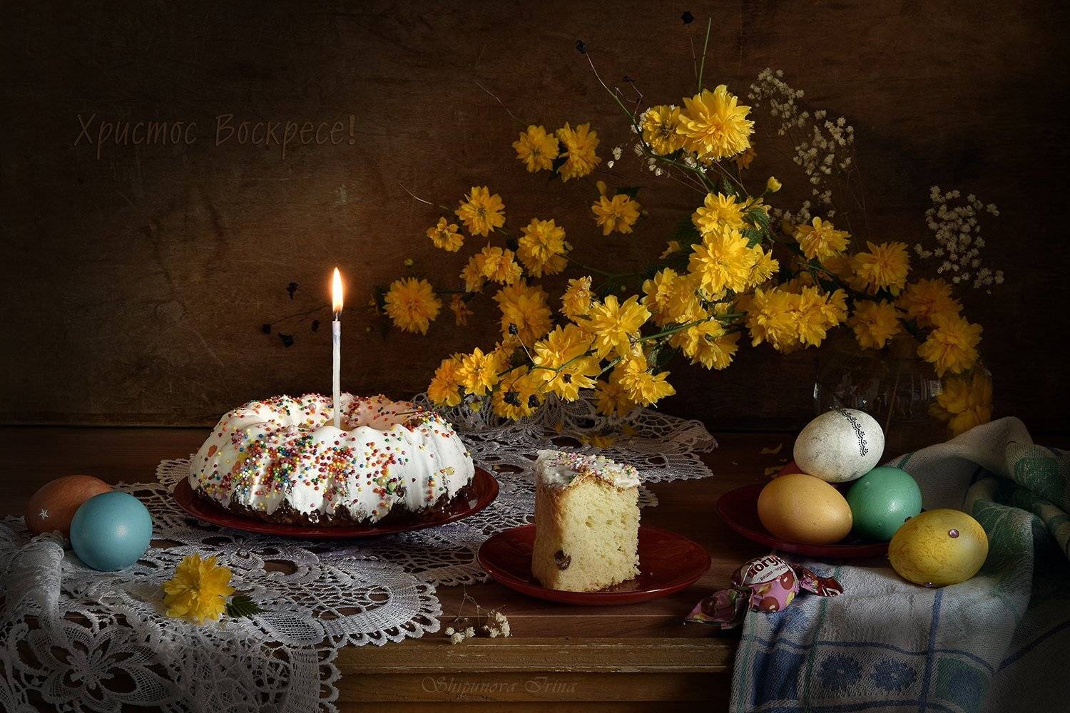 , Шипунова Ирина