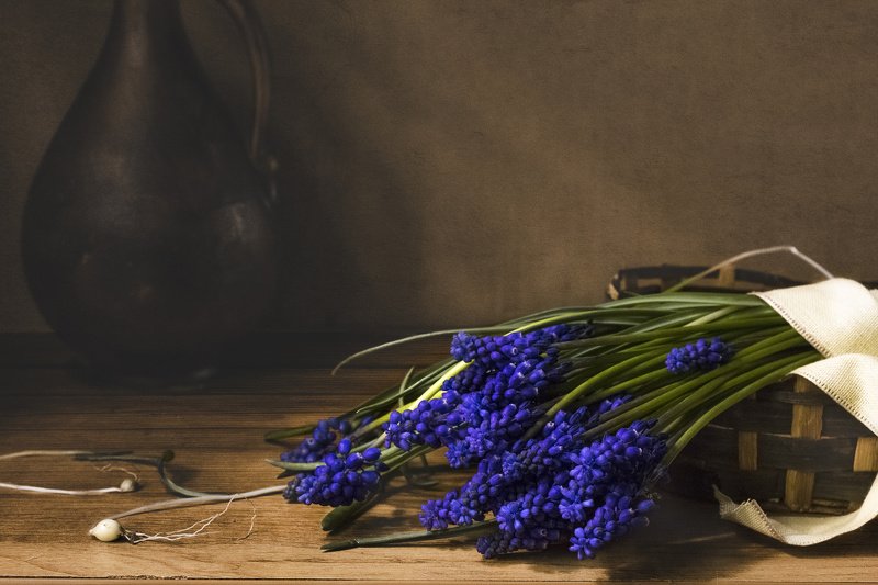цветы, мускари, корзинка, кувшин, натюрморт, синий С мускари фото превью