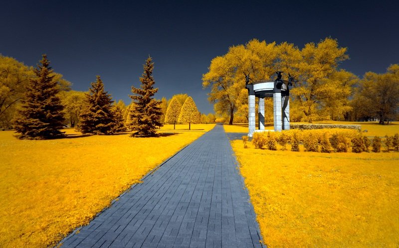 Солнечная прогулка. фото превью