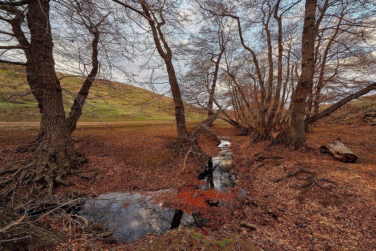 башкирия, южный урал, урал, орск, новотроицк, талкас, гадельша, сибай, зилаир. баймак, юлдыбаево, озеро талкас, водопад, водопад гаделша, пейзаж, лето, осень, качурин, зима, весна, ковыль, Качурин Алексей
