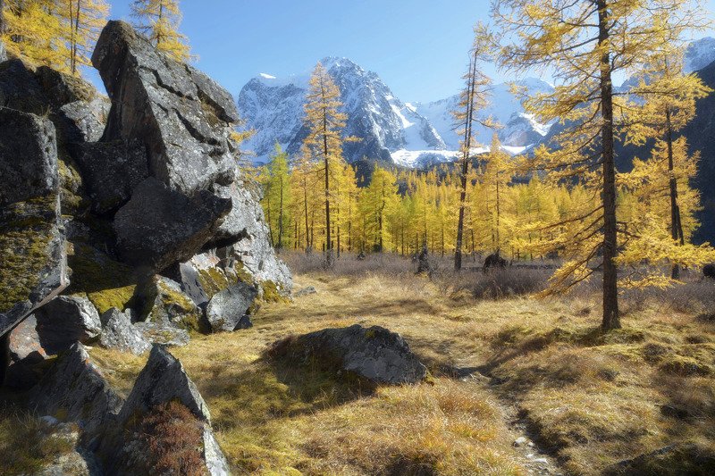 алтай,горы янтарный вечер фото превью