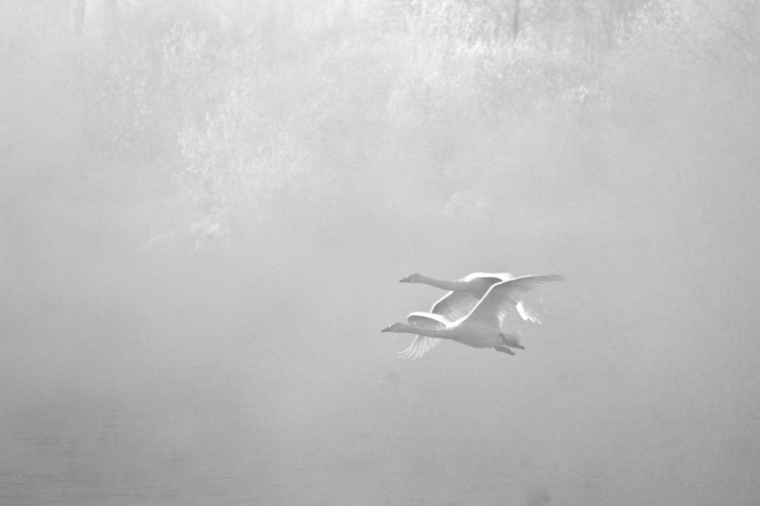 , Мазурин Евгений