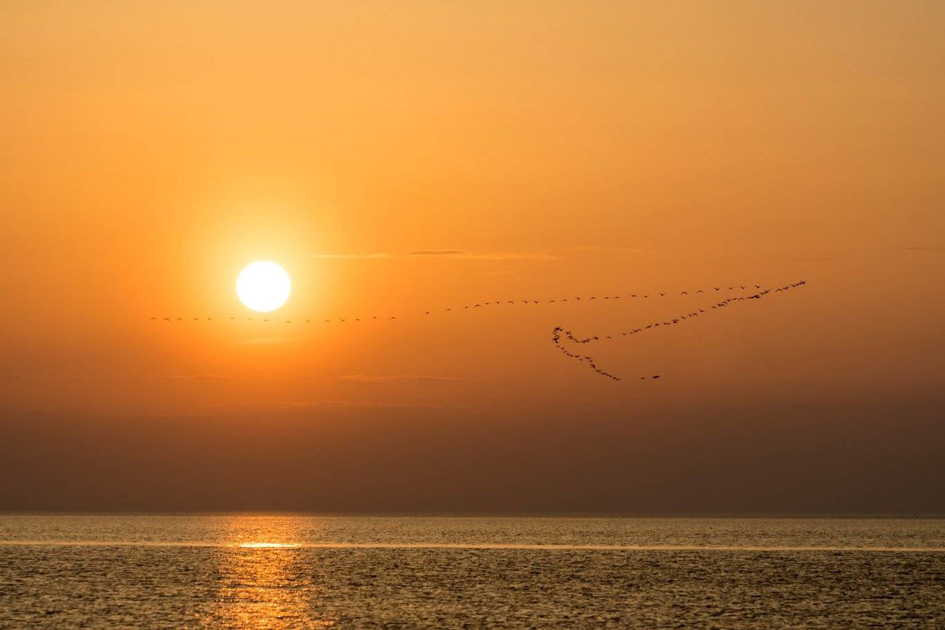 , Александр Абросимов