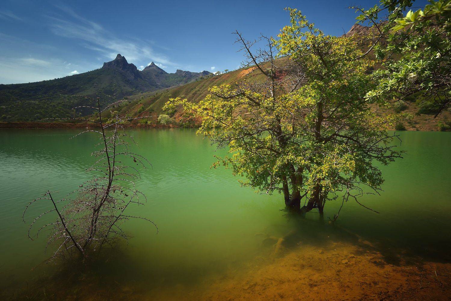 крым, природа, весна, горы, цветы, вода, озеро, Алексей Никонов