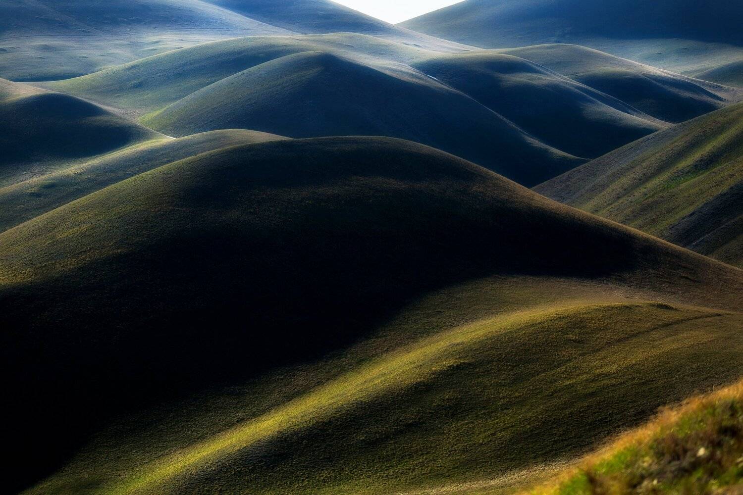 , Павел Сагайдак