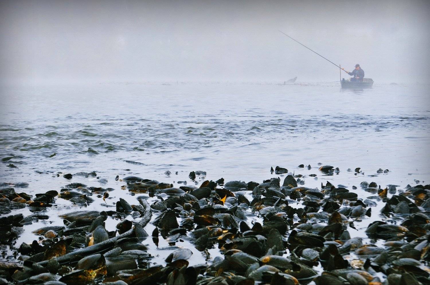 , Турков Евгений