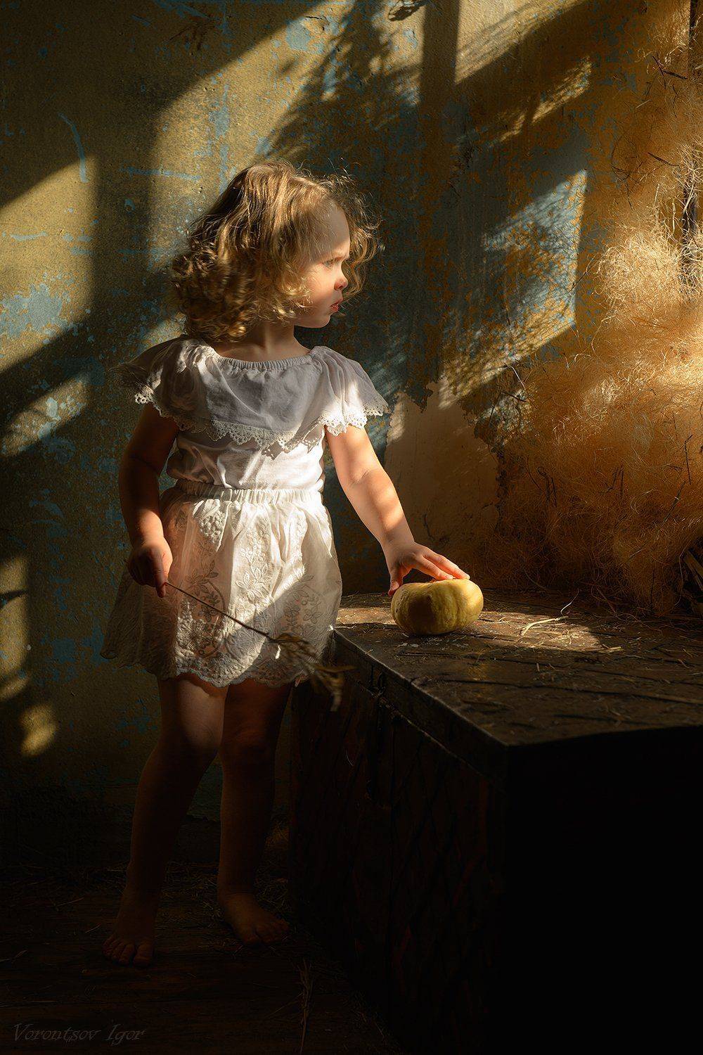 , Воронцов Игорь