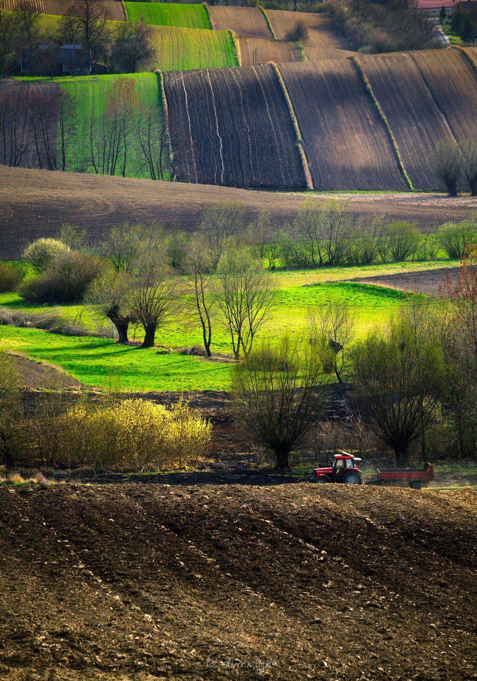 , Figat Marcin