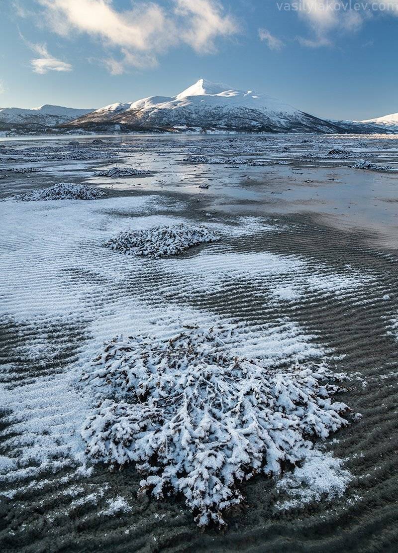 норвегия, Василий Яковлев