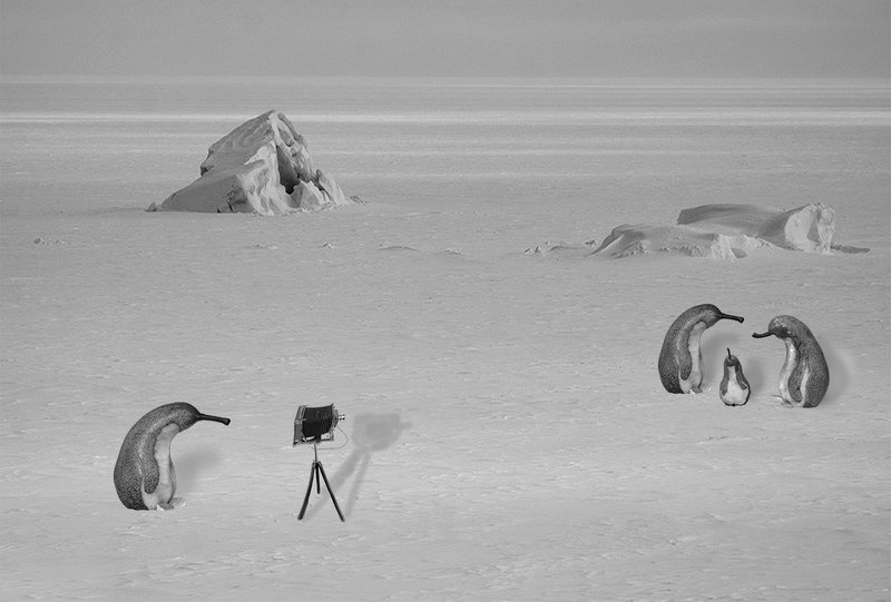 семейное фото фото превью