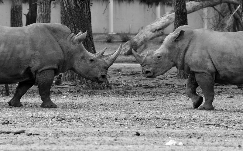 a meeting... фото превью