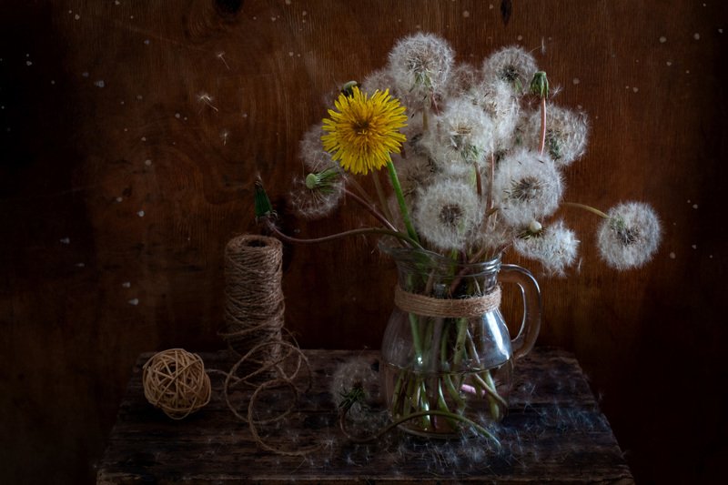 Настроение контрастов фото превью