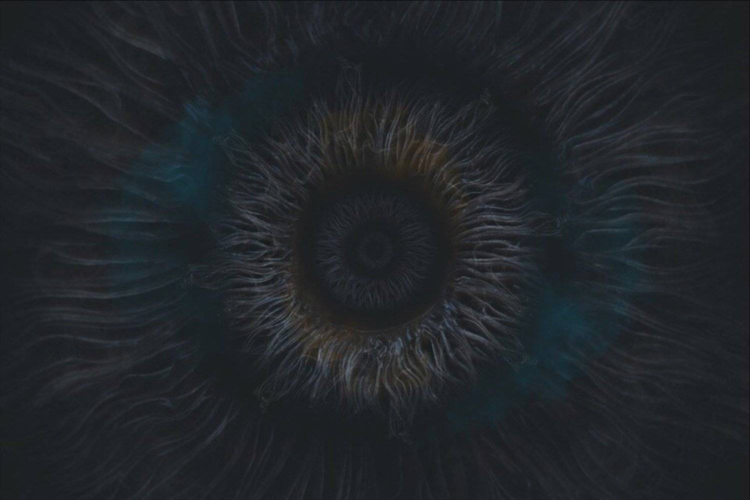 , Фролова Евгения