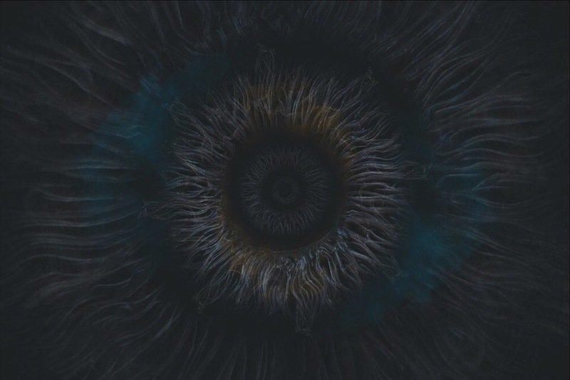 Шампиньон фото превью