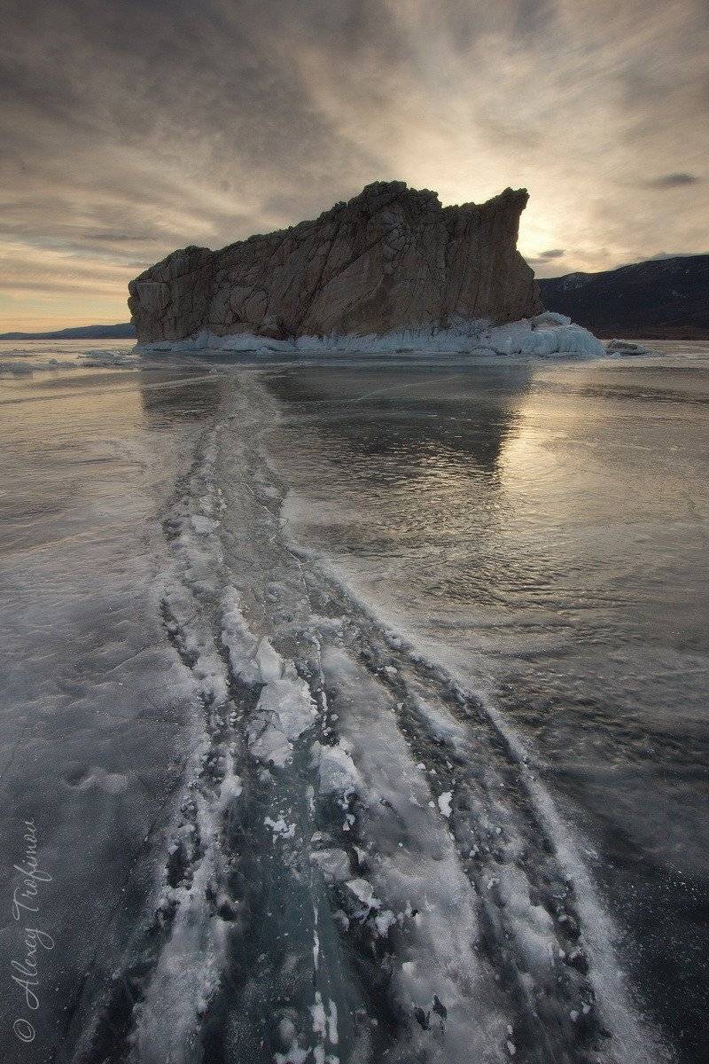 , Алексей Трофимов