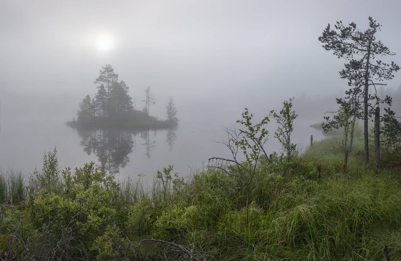 карелия, болото, фототур, Арсений Кашкаров