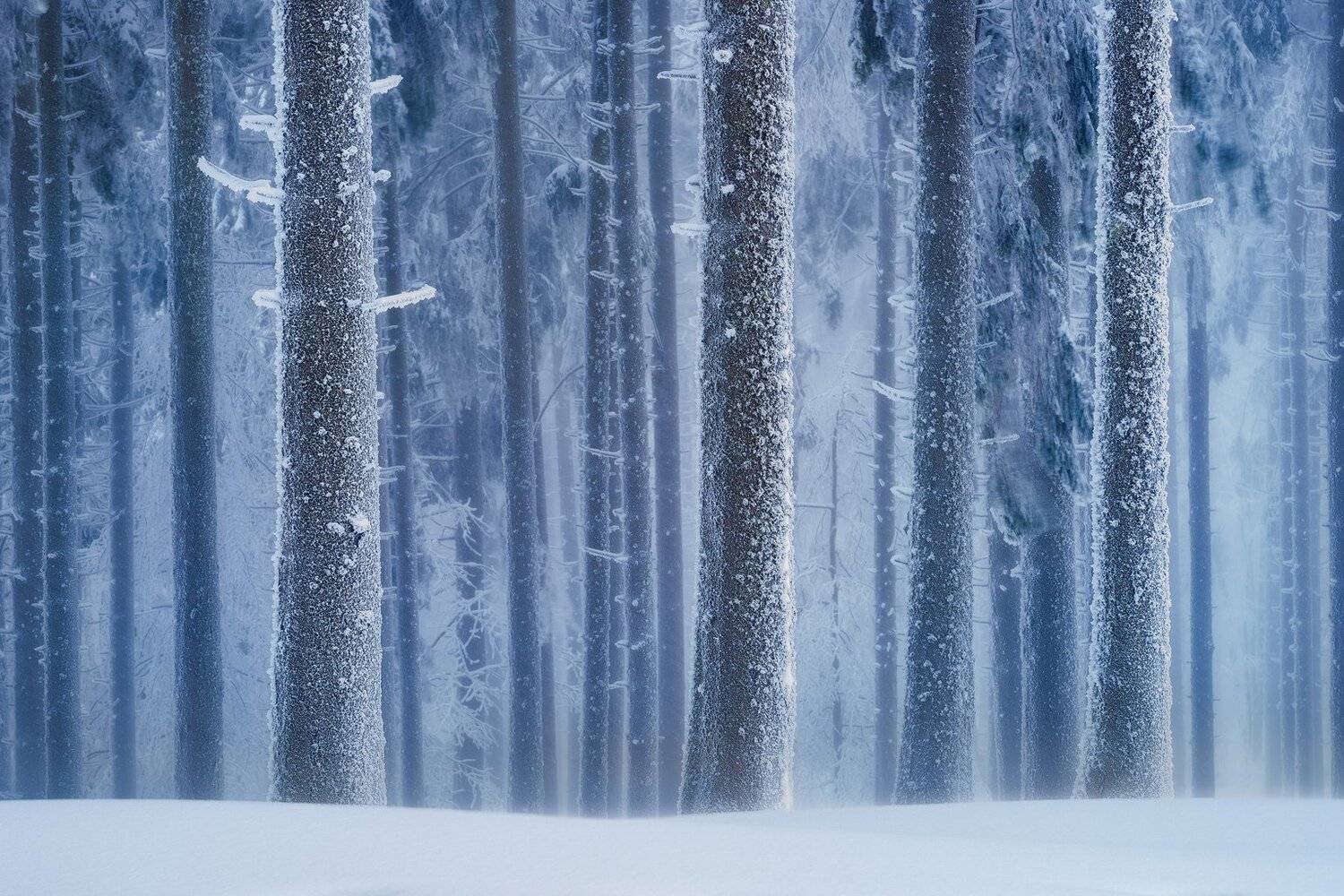 , Szabo Zsolt Andras