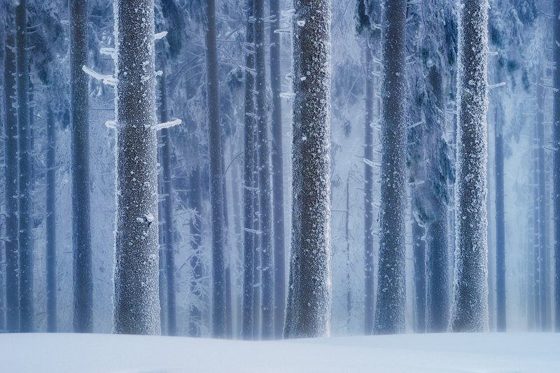 White walk фото превью