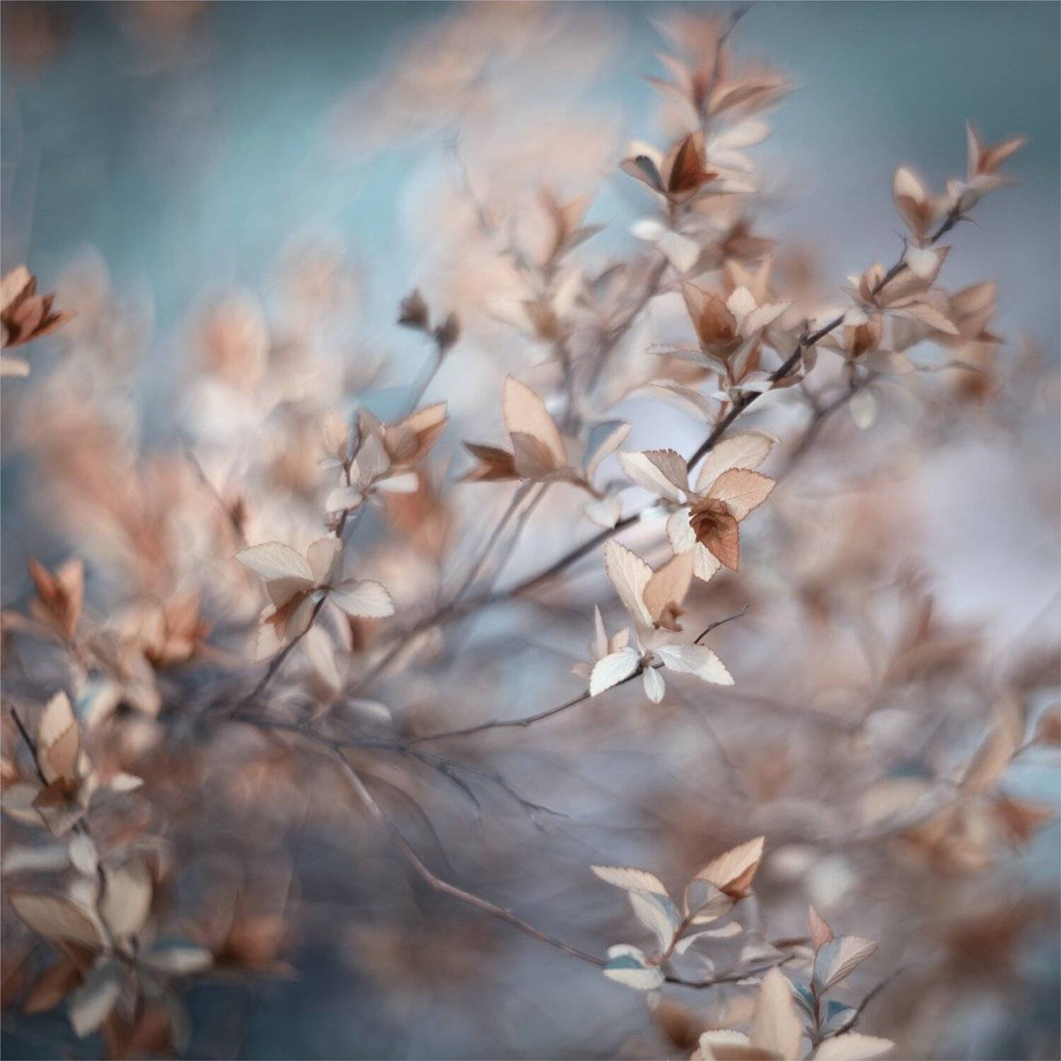 , Ариадна Белкина