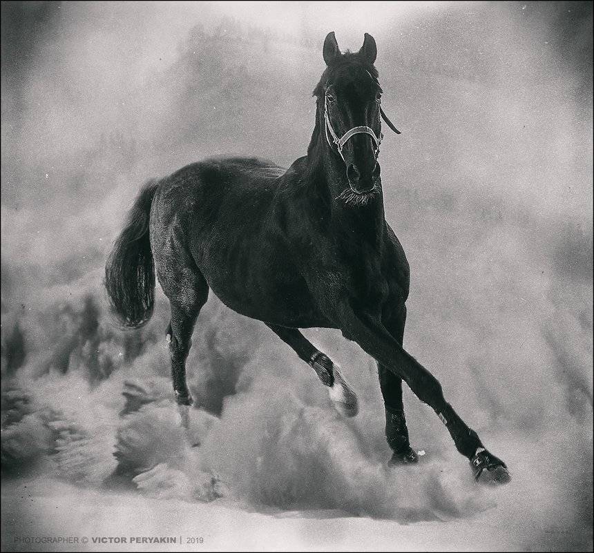 , Виктор Перякин