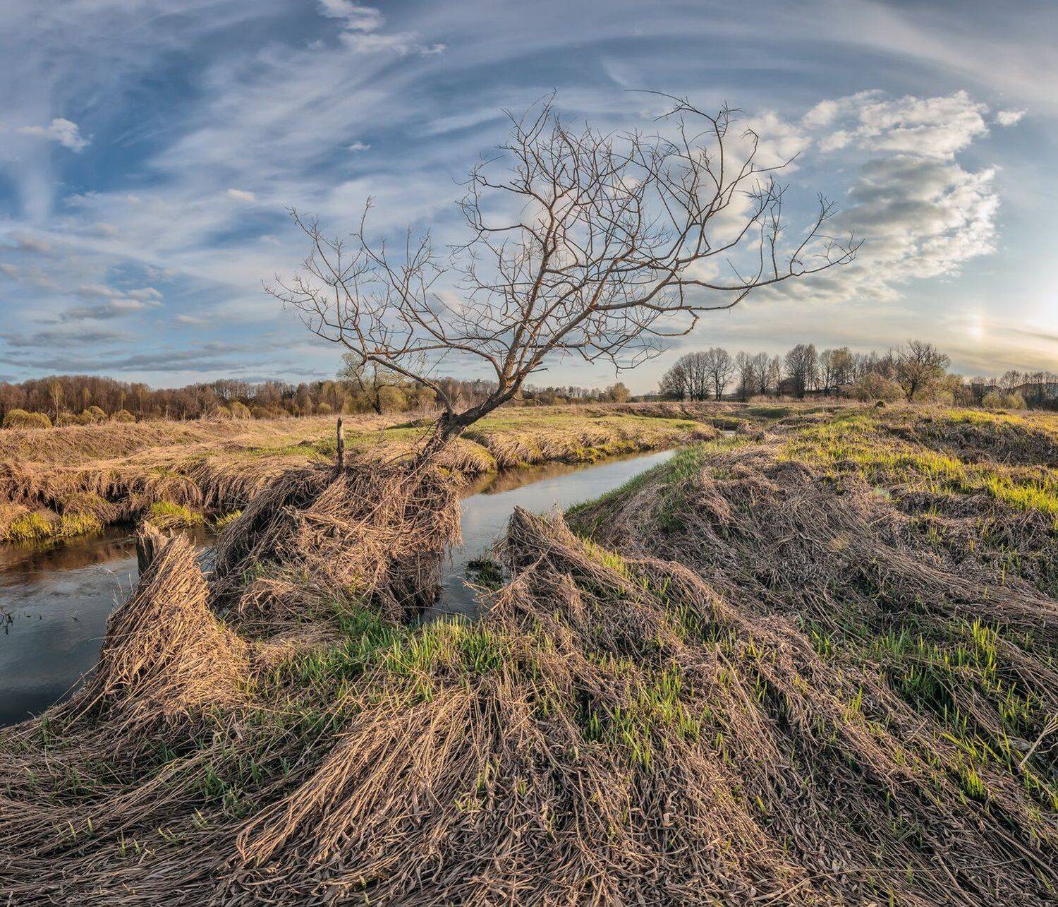 , Николай Андреев