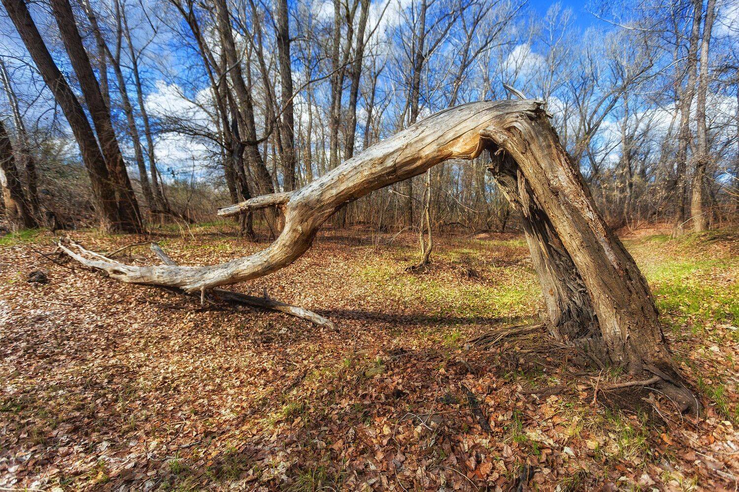, Павел Сагайдак