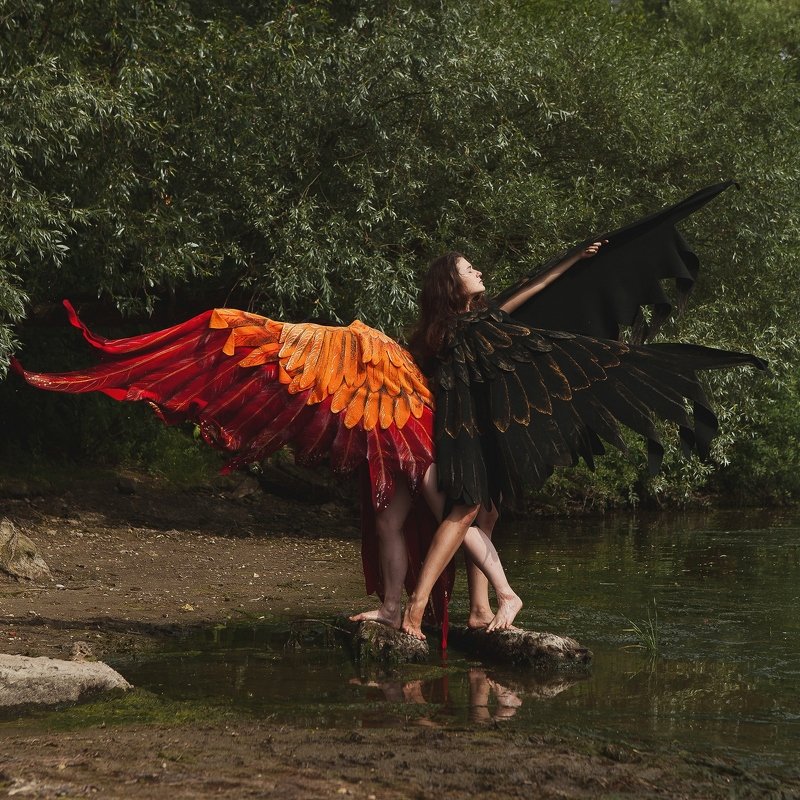 Wing wishes фото превью