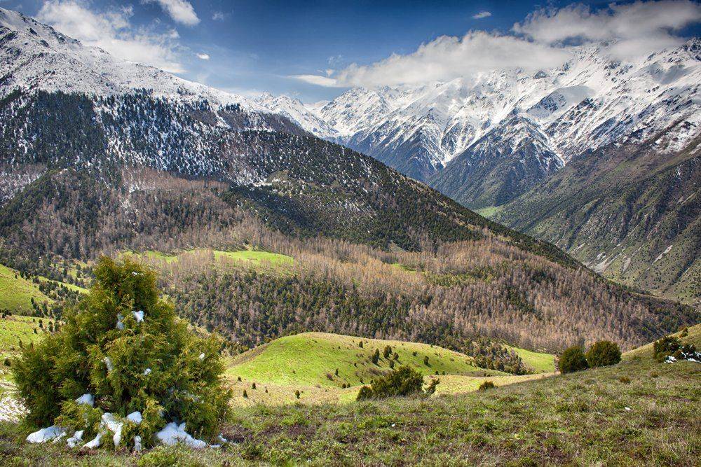 кыргызстан, горы, Элина Магалимова