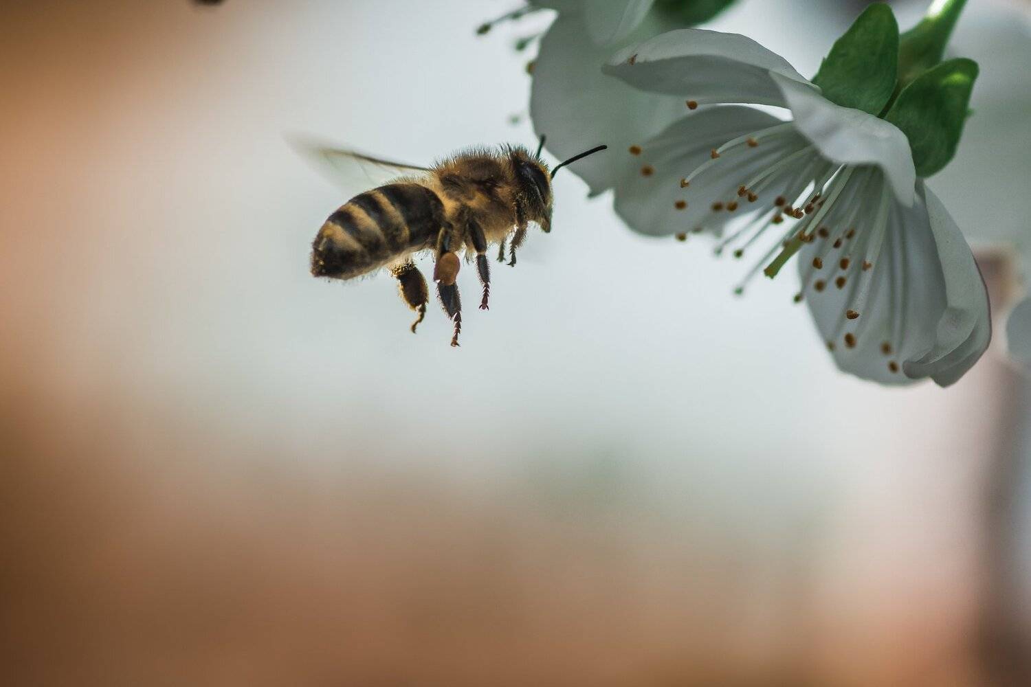 , Роман Зайцев