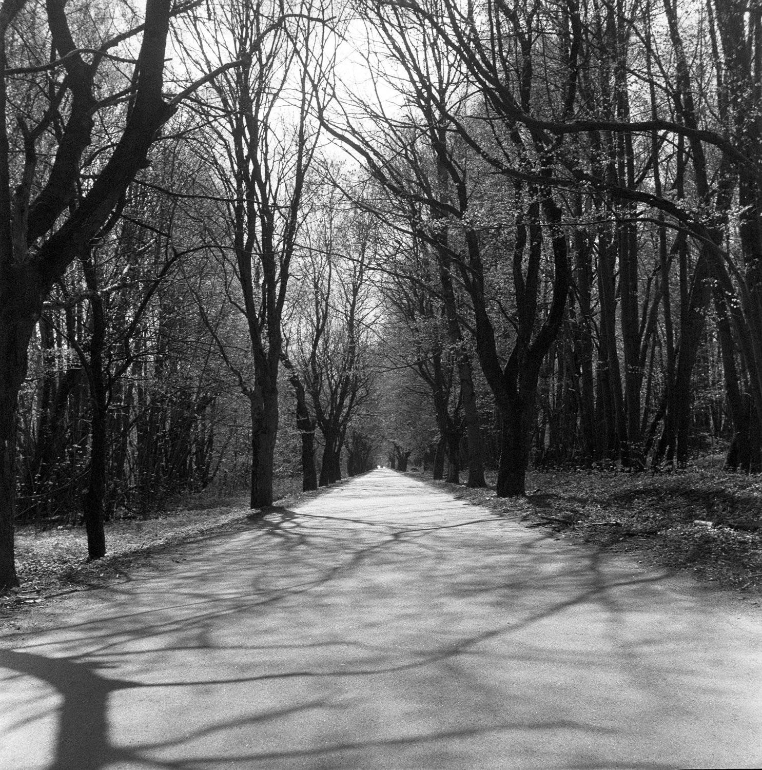 , Иван Дёмкин