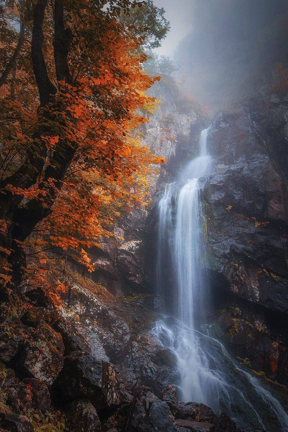 , Svetoslav Georgiev