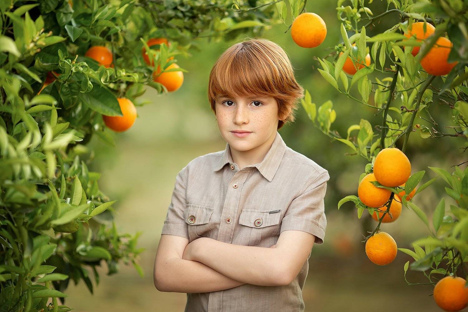 апельсины мальчик, Екатерина Белоножкина