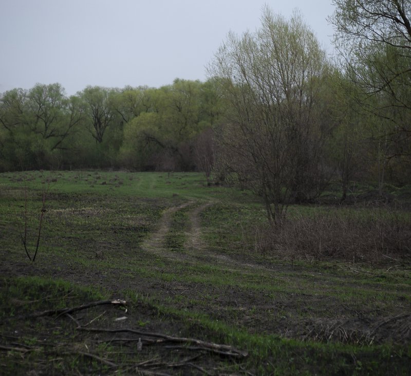 landscape,forest,beautiful,screatives,пейзаж,весна,апрель,april,color,field,beautifullandscape,springrlove,spring2019,весна2019,цвета,вечнаявесна,thaw,filmcolor,film,green. Outskirts of Tula фото превью