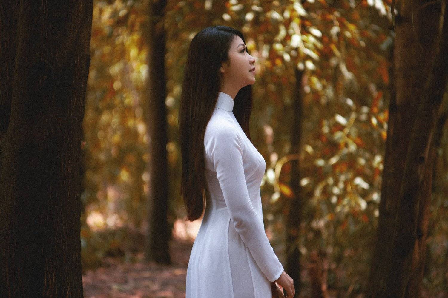 &aacute;o d&agrave;i, việt nam, lee Nguyen