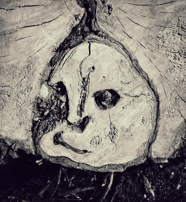 pareidolia *** фото превью
