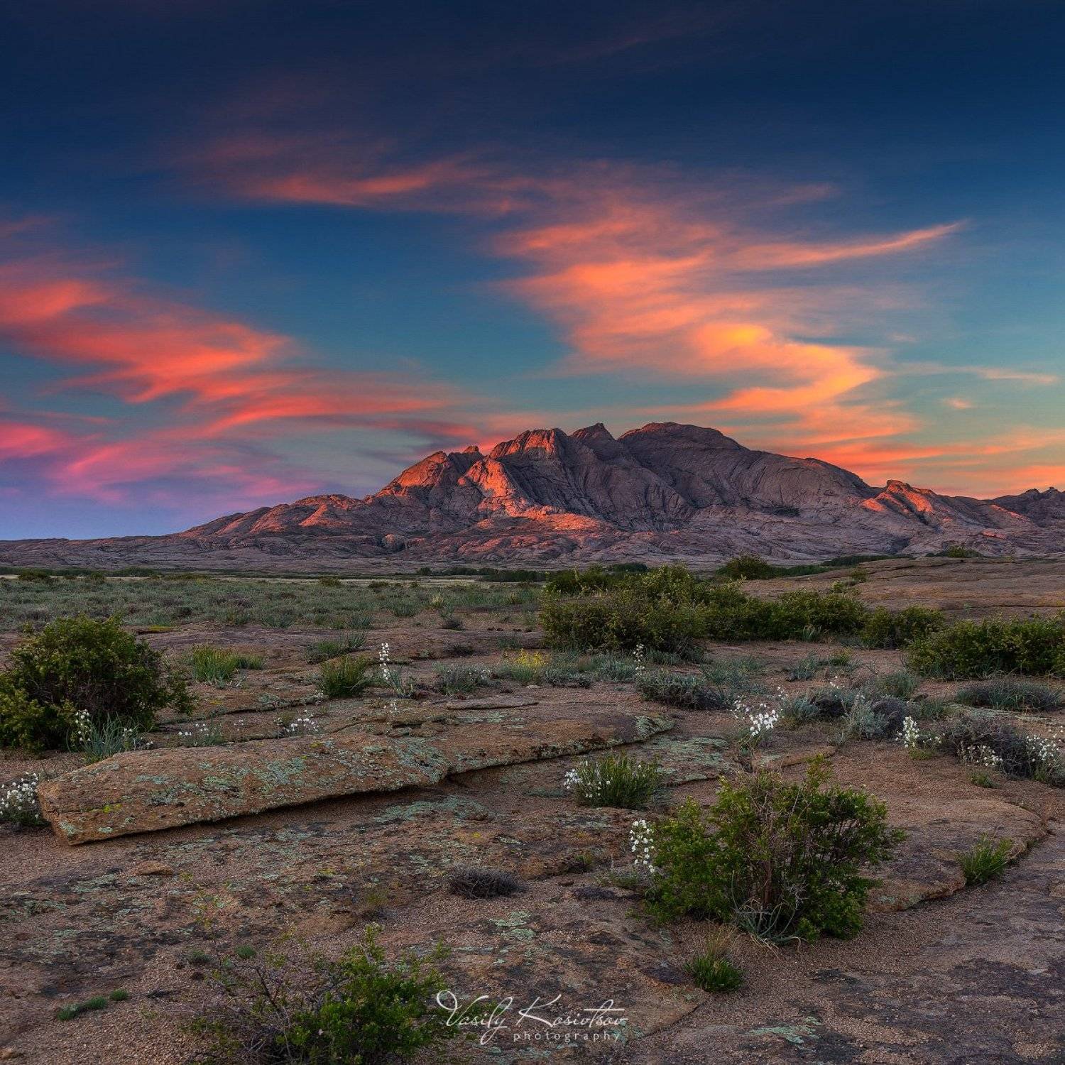 казахстан, бектау-ата, северное прибалхашье, май 2018, Василий Косивцов