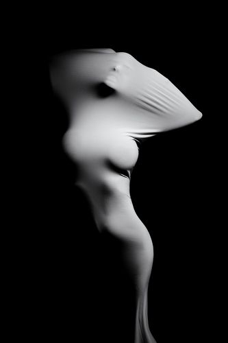 Metampsychosis